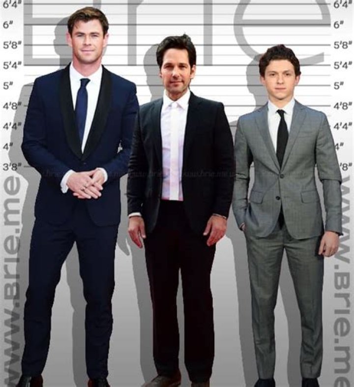 Uncovering The Fascinating Truth About Paul Rudd's Height