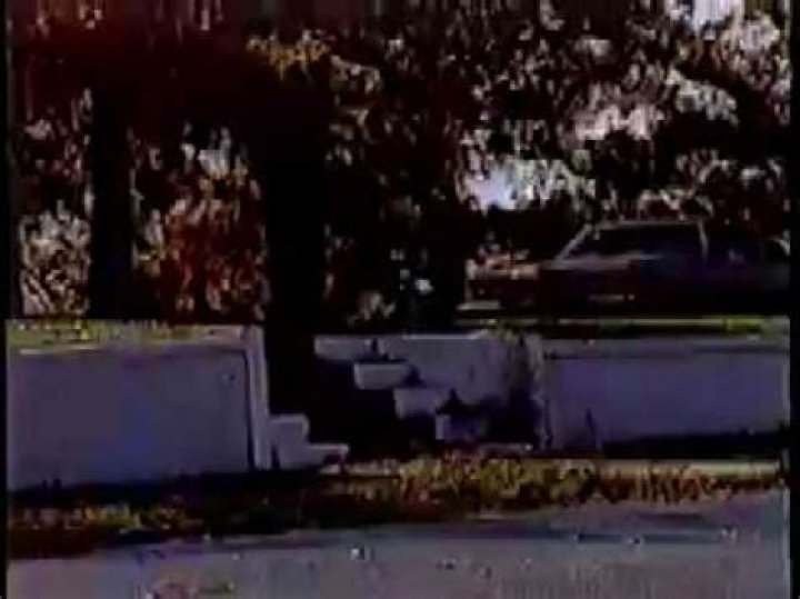 Discover The Art Of Pelle Lindbergh: Wall Murals That Captivate