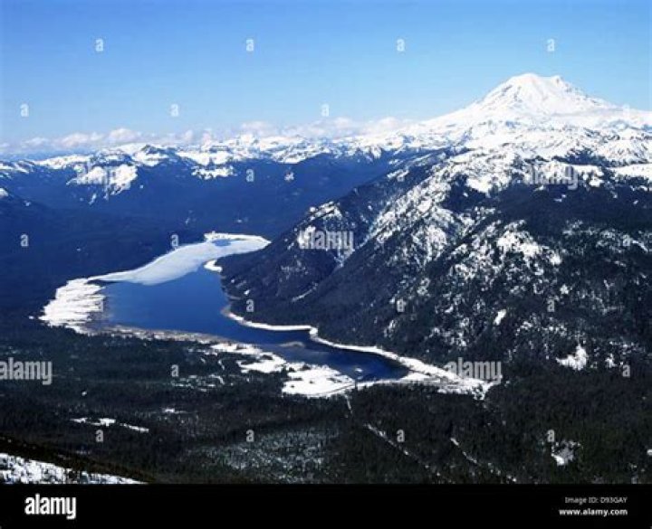 Enhance Your Online Presence With The Art Of Photo Bumping