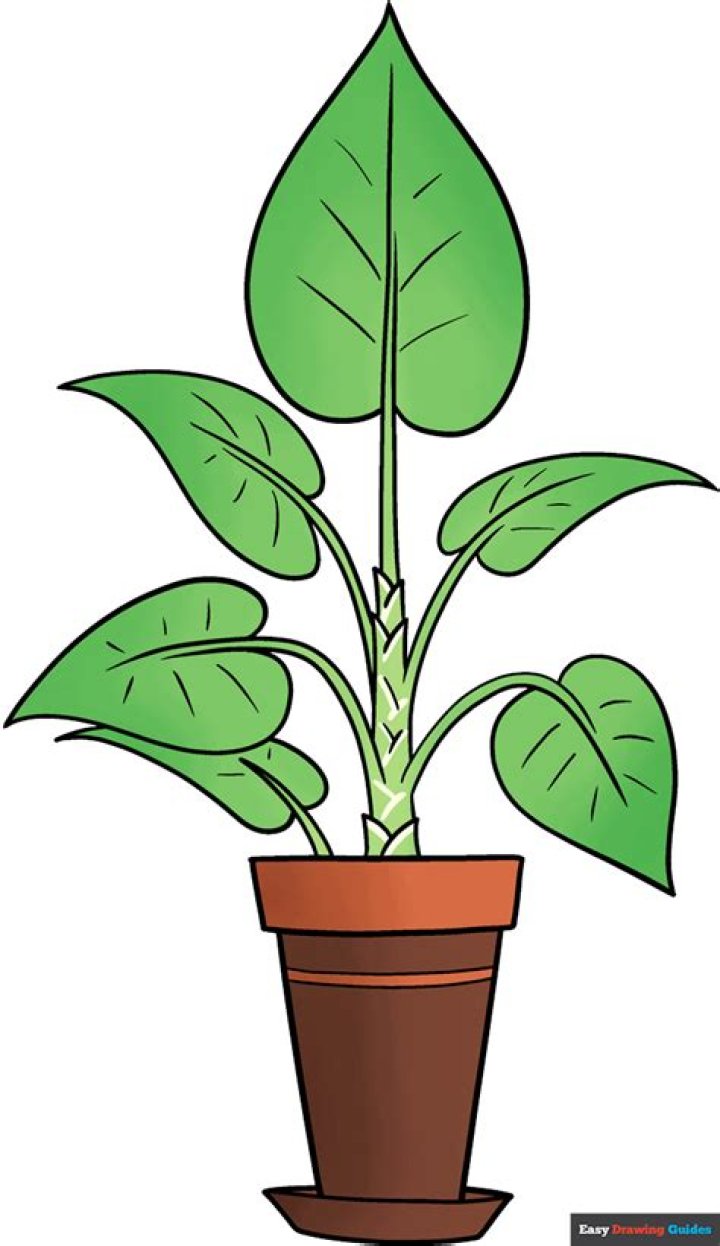 Unveil The Art Of Plant Image Drawing: Techniques And Inspiration