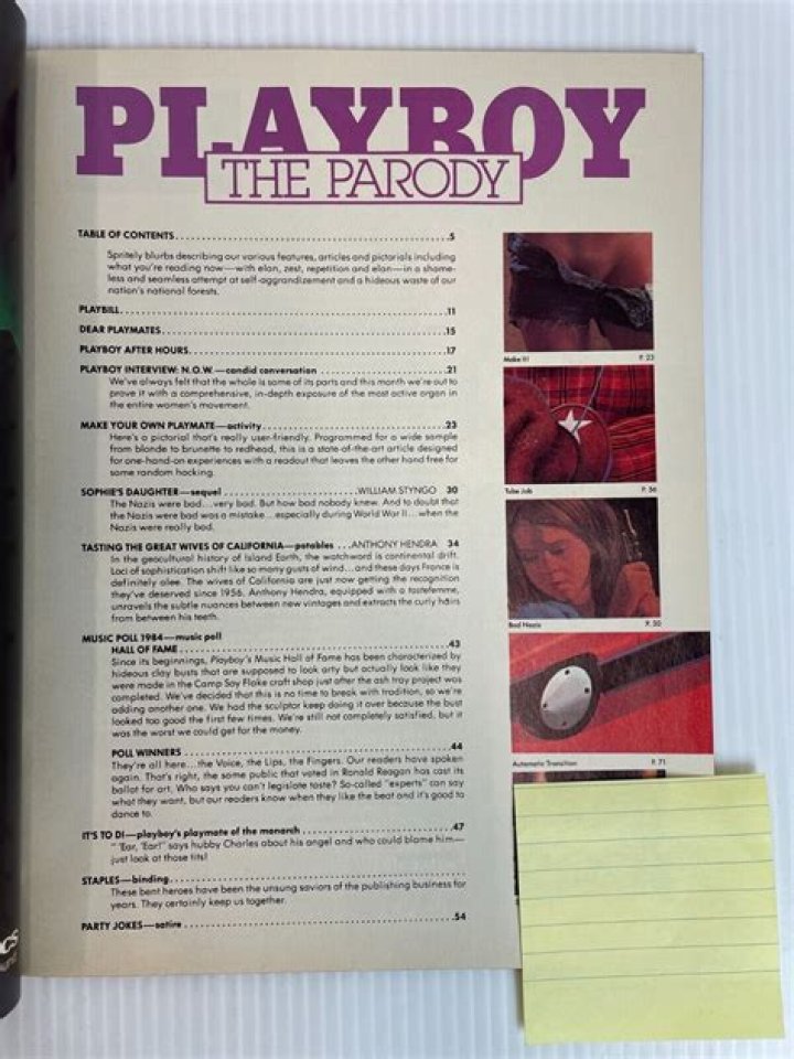 Mesmerizing Playboy Centerfolds Of 1981: A Nostalgic Journey