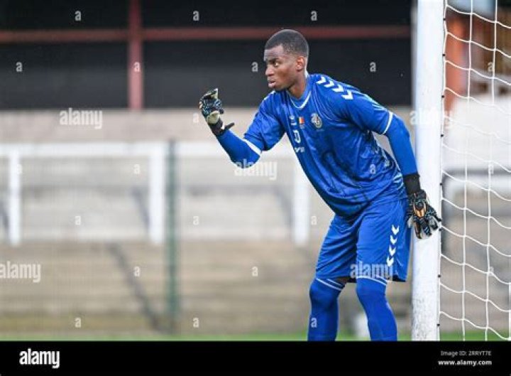 Innovative Plumain Pens For A Superior Writing Experience