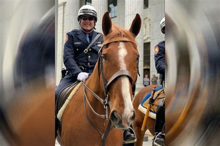 The Unsolved Cases Of Police Commissioner Ryder