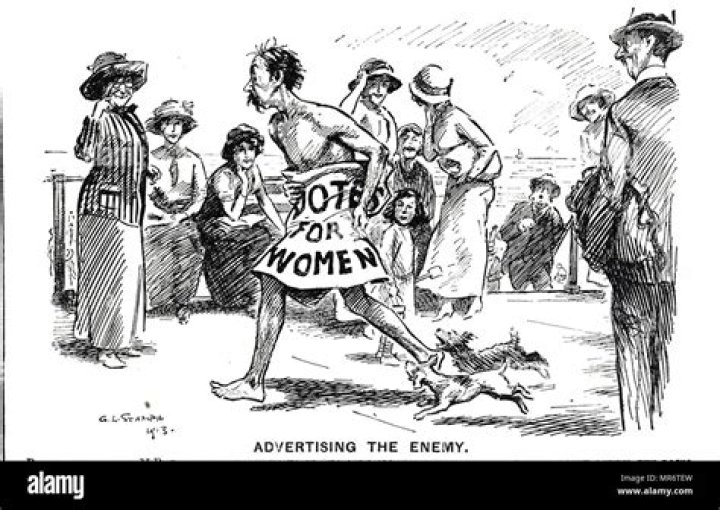 The Impact Of Political Cartoons On The Feminist Movement