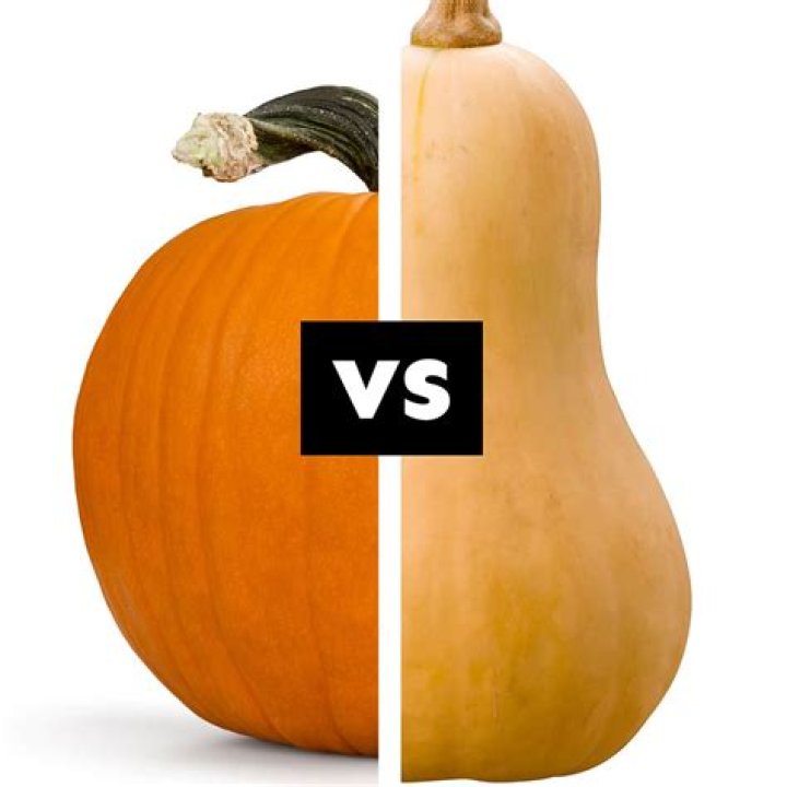 Pumpkin: Comparison To Competitors