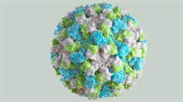 Purell: The Norovirus-Fighting Hand Sanitizer