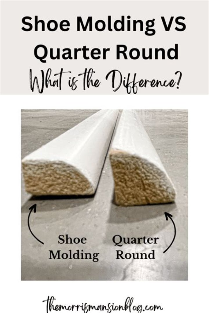 Amazing Quarter Round Images That Will Enhance Your Visuals