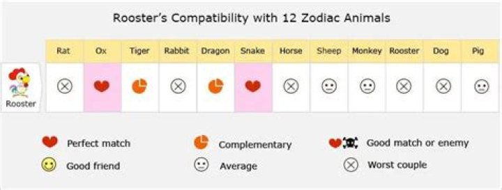 Exploring The Dynamic Relationship Of Rooster And Rat Compatibility