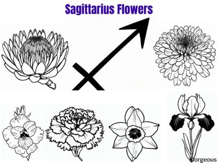 Sagittarius Flower: The Bloom That Embodies Freedom And Adventure