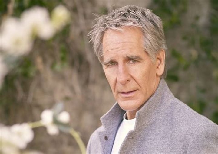 Exploring The Life And Career Of Scott Bakula