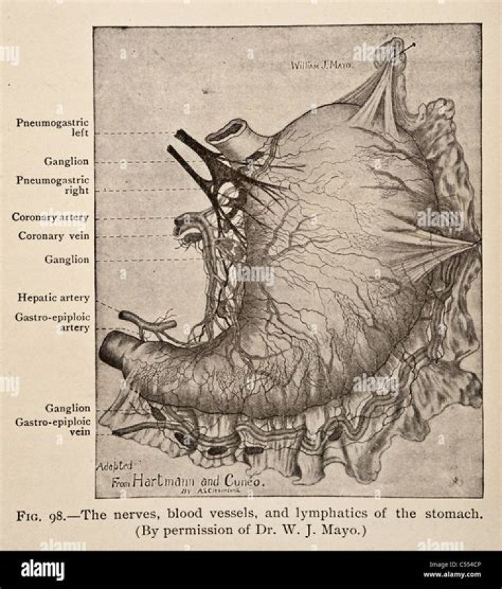 Unraveling The Mystery Of Tarrare's Stomach Inside