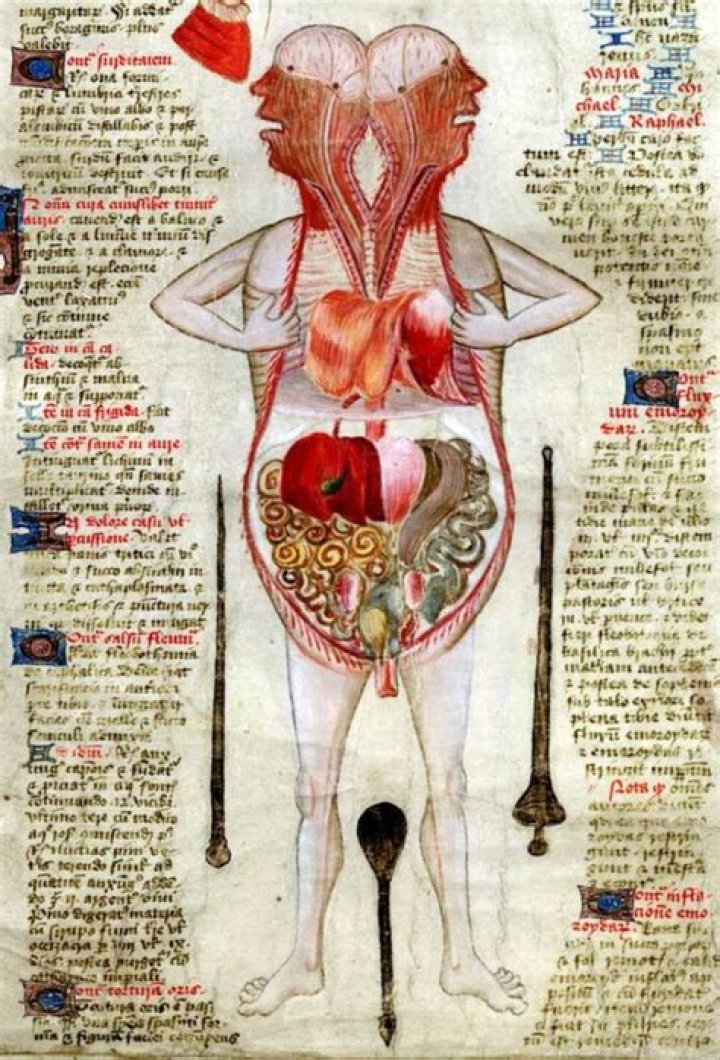 Tarrare's Organs: An Unbelievable Tale Of Excess And Curiosity