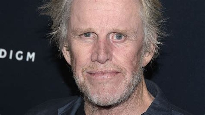 The Complete Guide To The Busey Family Of Actors