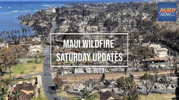 Tragic Loss: Maui Wildfire's Final Victim Identified - Lydia Coloma's Obituary Unveiled