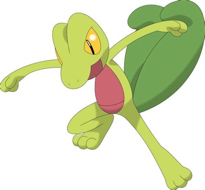 Treeko: The Enigmatic Journey Of A Rising Star