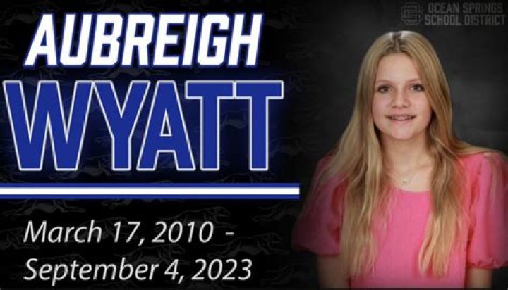 Unveiling The Truth: Did Molly Noblitt Bully Aubreigh Wyatt?