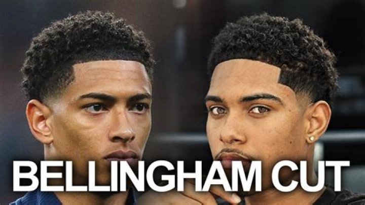 Unraveling Bellingham's Ethnicity: A Cultural Exploration