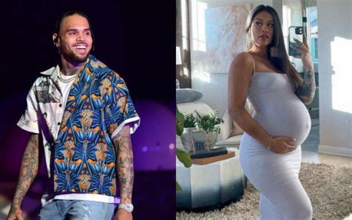 The Definitive Guide: Chris Brown's Baby Mama, Diamond Brown