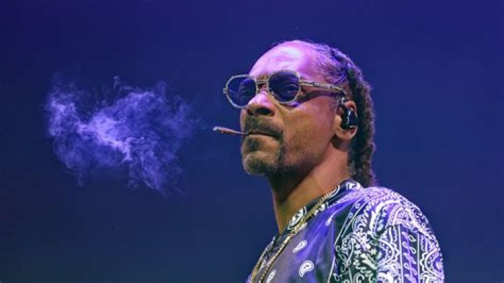 Uncovering The Truth: The Reasons Behind Snoop Dogg's Incarceration