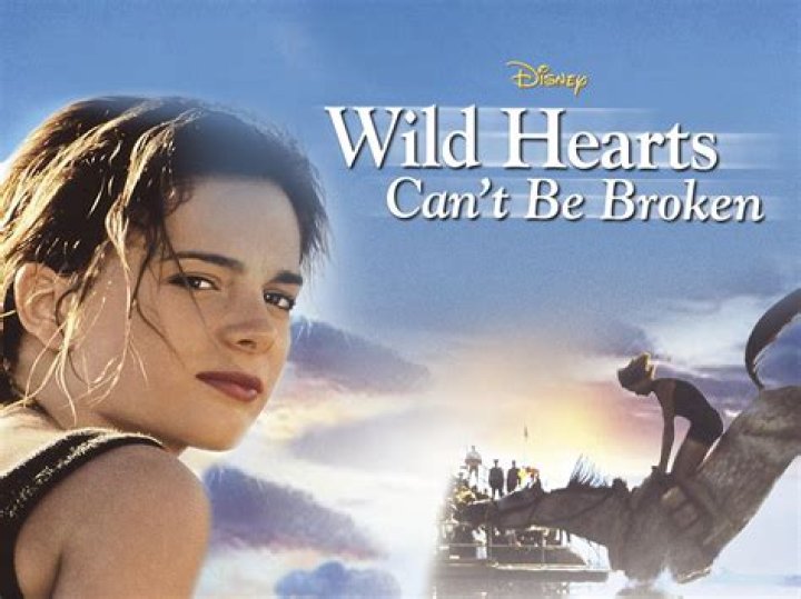 Unbreakable Spirits: The Essence Of Wild Hearts